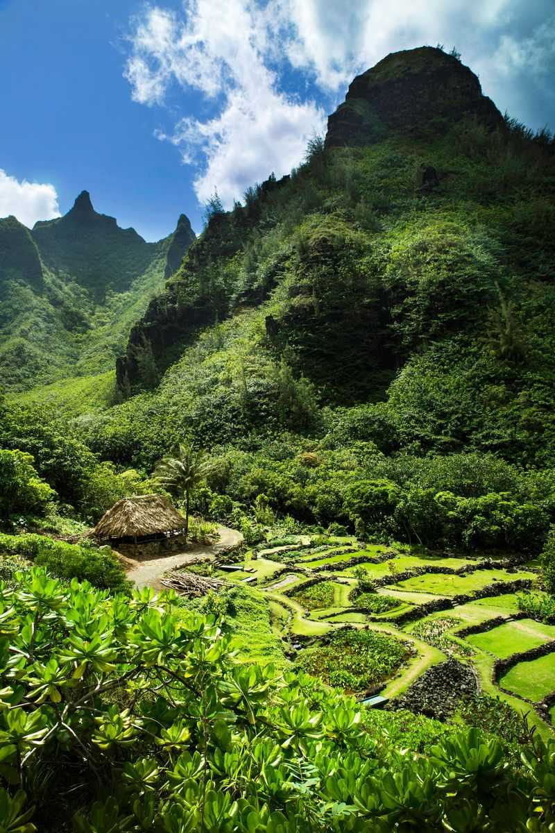 Limahuli Garden & Preserve