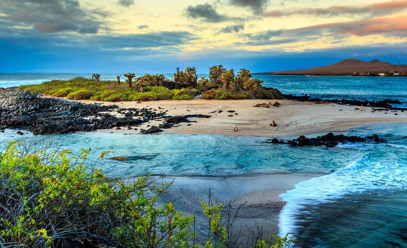 Visiting the Galápagos Islands, Ecuador
