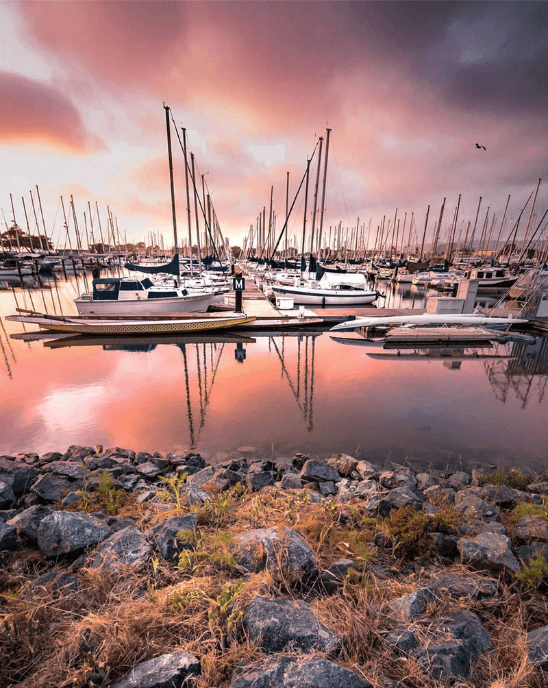 Relax at the Berkeley Marina