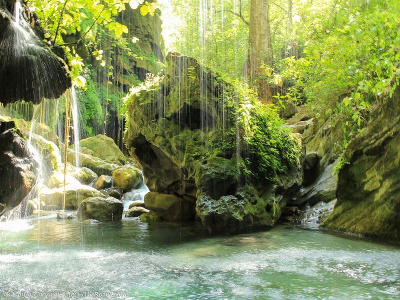 Explore the Wilderness of Sierra Gorda