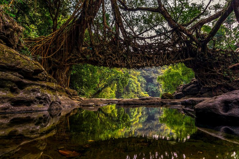 Mawlynnong, India