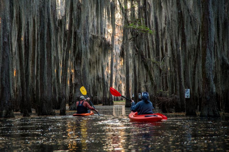 Experiencing the Tranquility of Caddo Lake