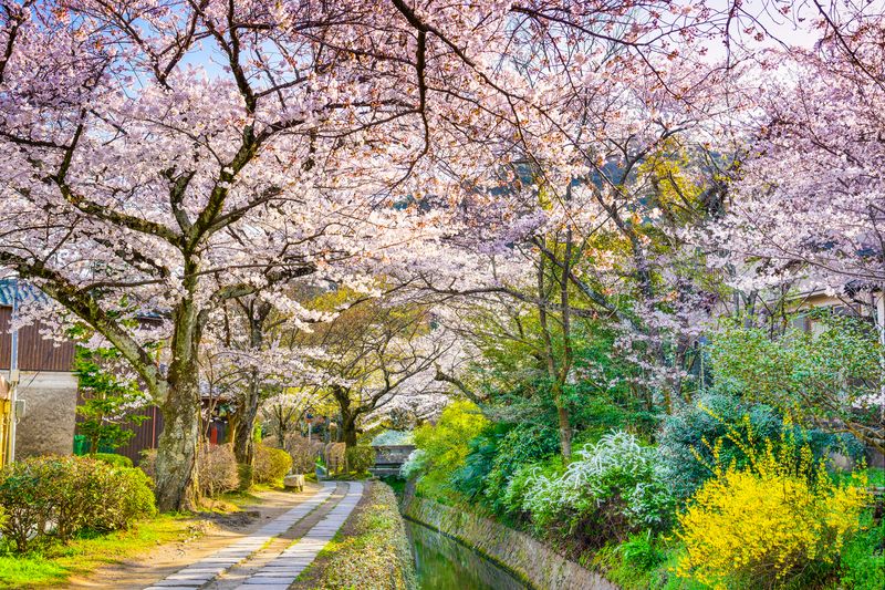 Kyoto, Japan