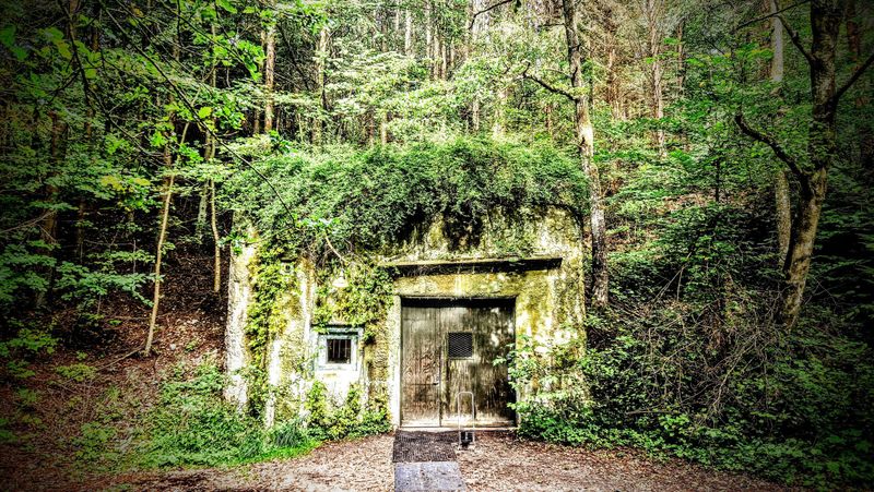 The Enigmatic Safehouse