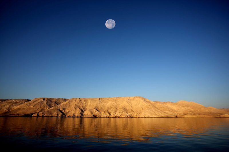 Moonlit Bay