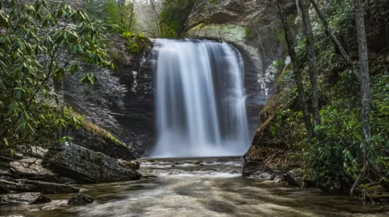 Pisgah National Forest