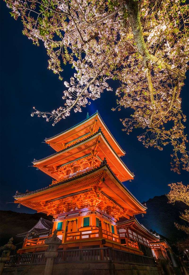 Exploring Kyoto's Temples