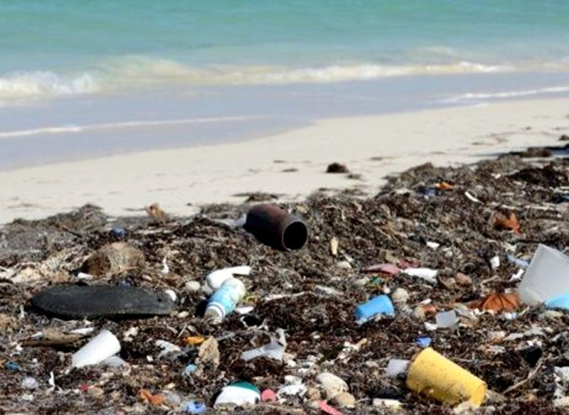 Polluted Waters