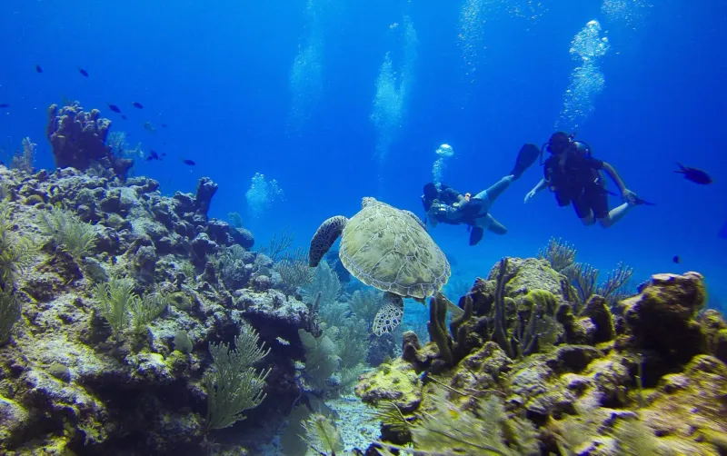 Great Blue Hole, Belize