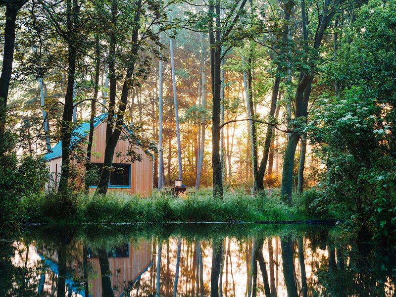 Forest Retreats