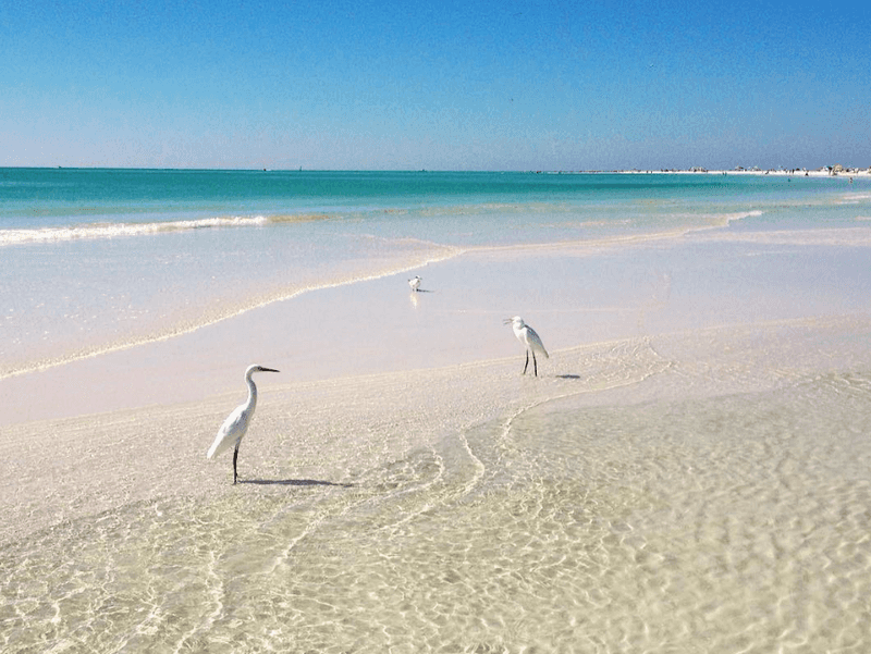 Siesta Key Beach, Florida