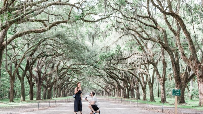Savannah, USA