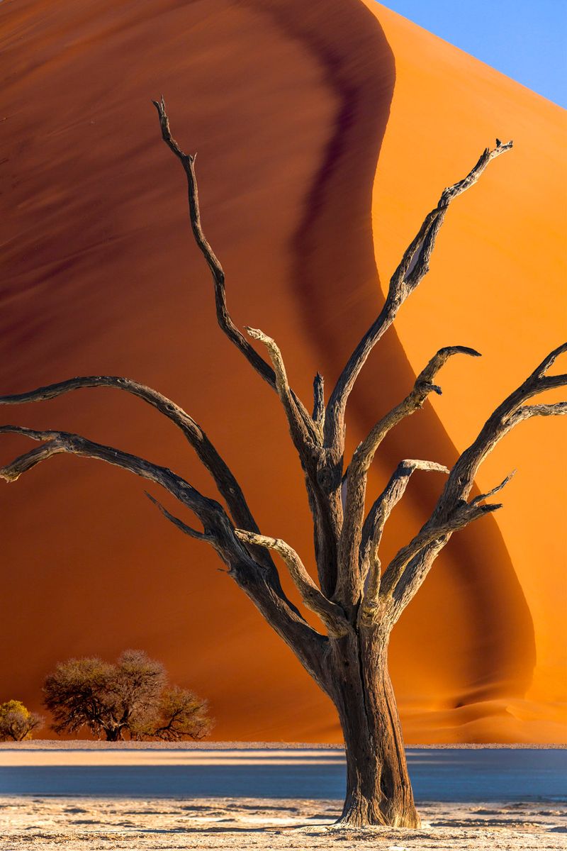 Namib Desert, Namibia