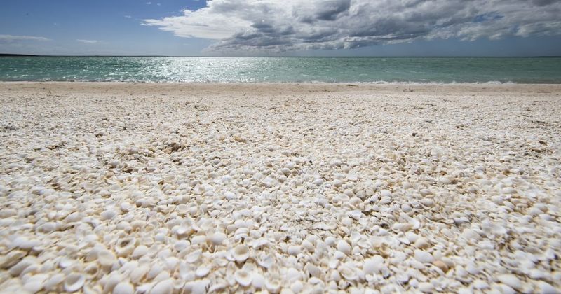 Shell Beach, Australia