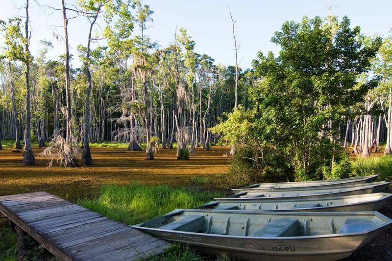 Wander Sam Houston Jones State Park