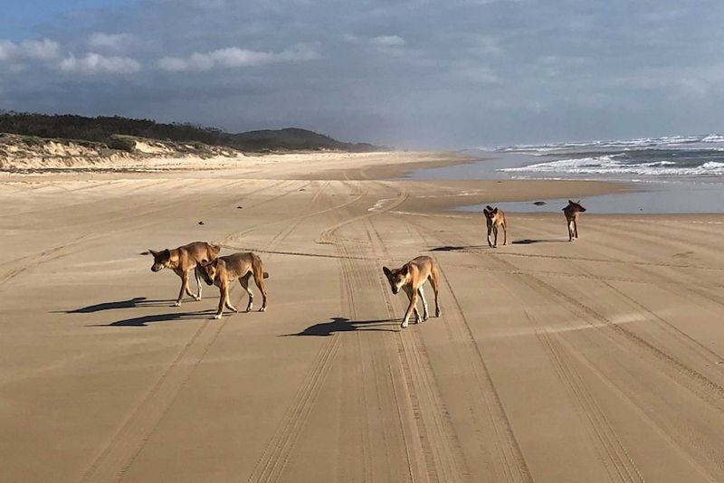 Fraser Island, Australia