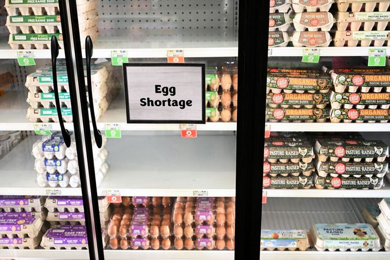 Eggs No Longer in the Basket