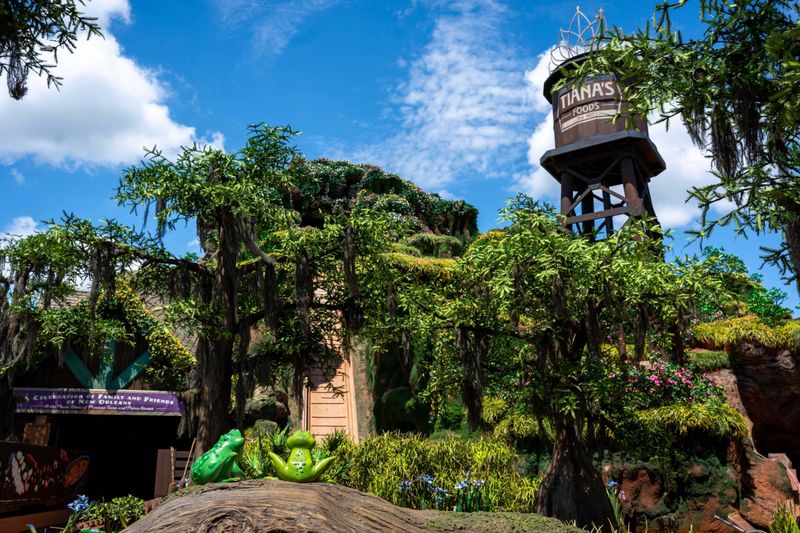 The Enchanting Bayou Setting