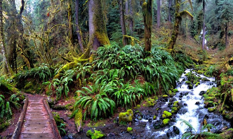 Pacific Northwest