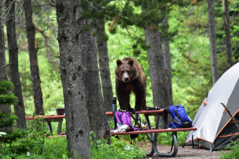 Glacier National Park, Montana