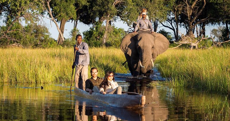 Okavango Delta, Botswana