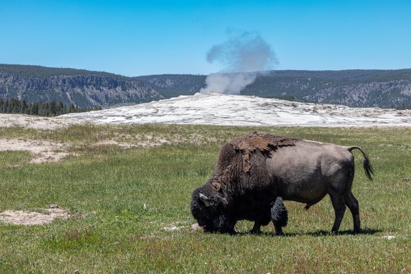 Yellowstone National Park, Wyoming
