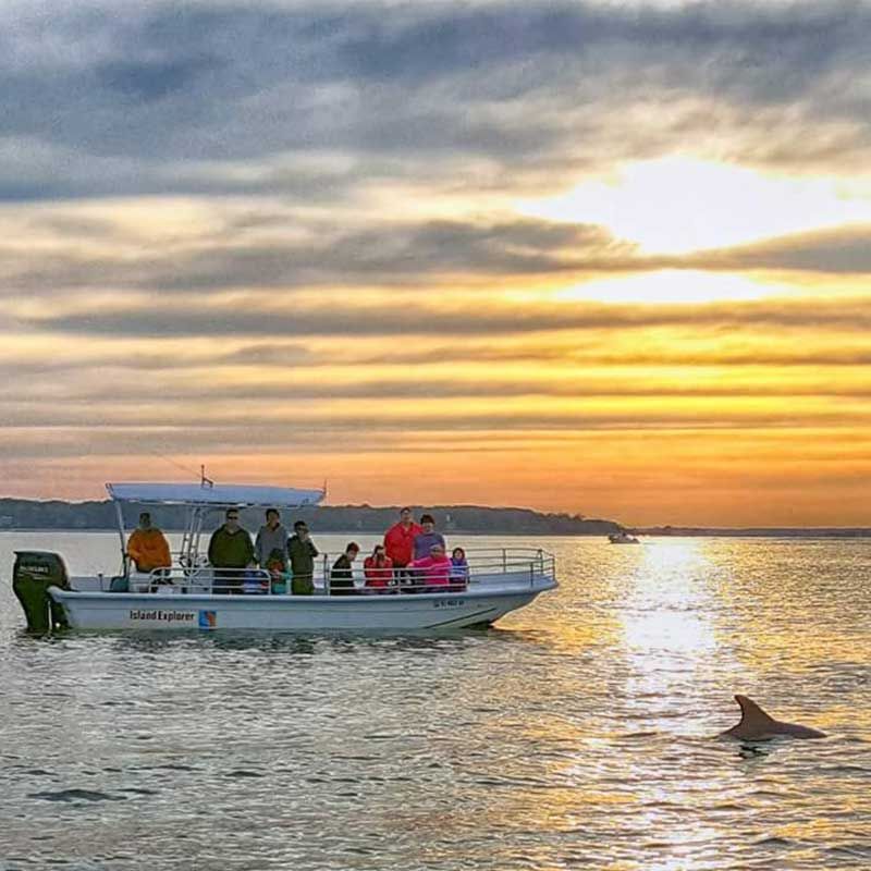 Dolphin Encounters Right From the Shore