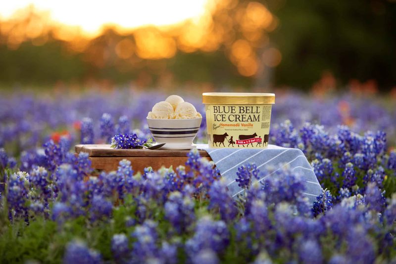3. Blue Bell Homemade Vanilla - Texas Pride