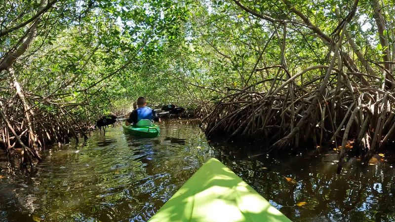 Kayaking & Paddleboarding Adventures