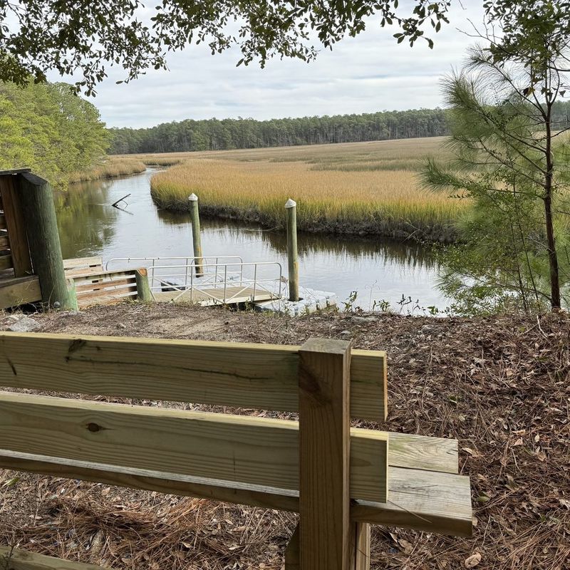 The Marshland Boardwalks