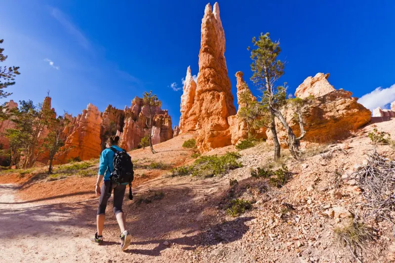 Bryce Canyon (UT)