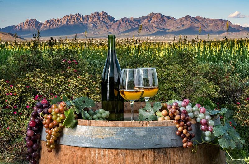 Mesilla Valley Wine Country