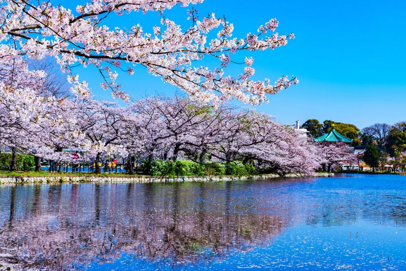 Ueno Park and Zoo