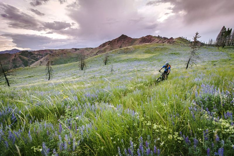 Idaho's Sun Valley