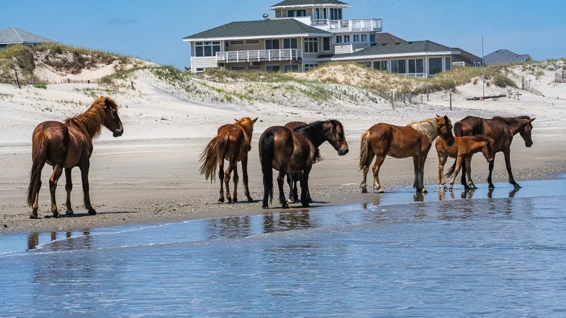 Coastal Heritage at the Outer Banks