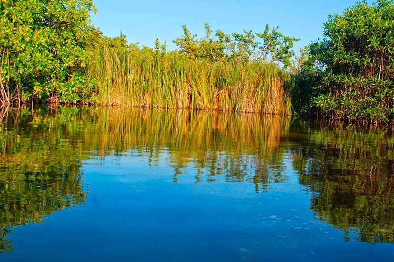 Laguna Bavaro Nature Reserve