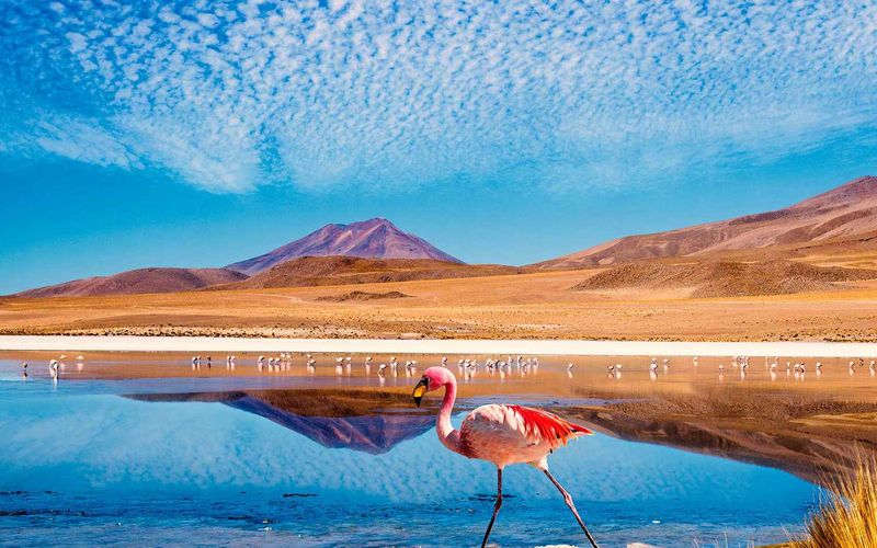 Salar de Atacama, Chile