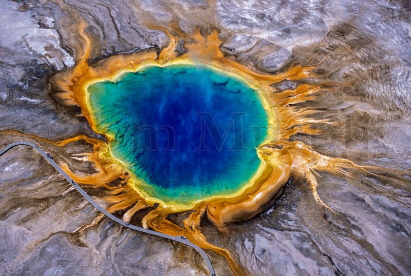 Nature's Vivid Paint Palette