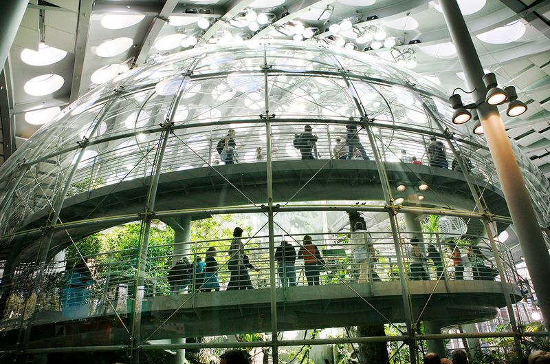 California Academy of Sciences (SF)
