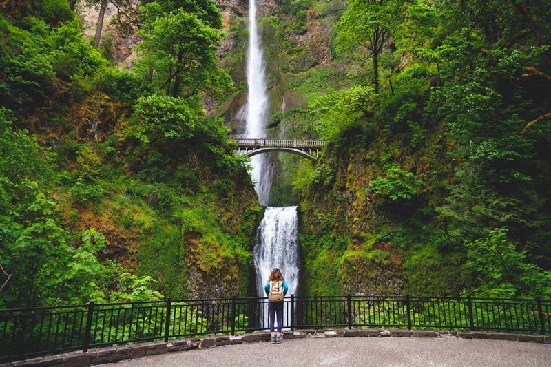 Multnomah Falls Hike