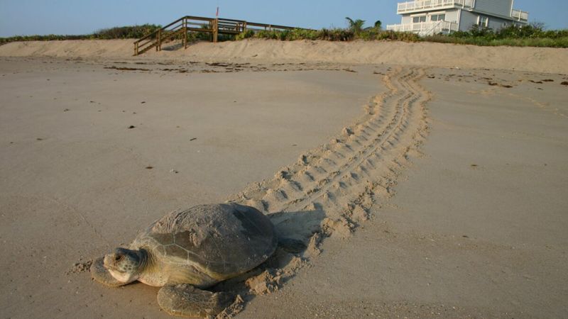 Vero Beach