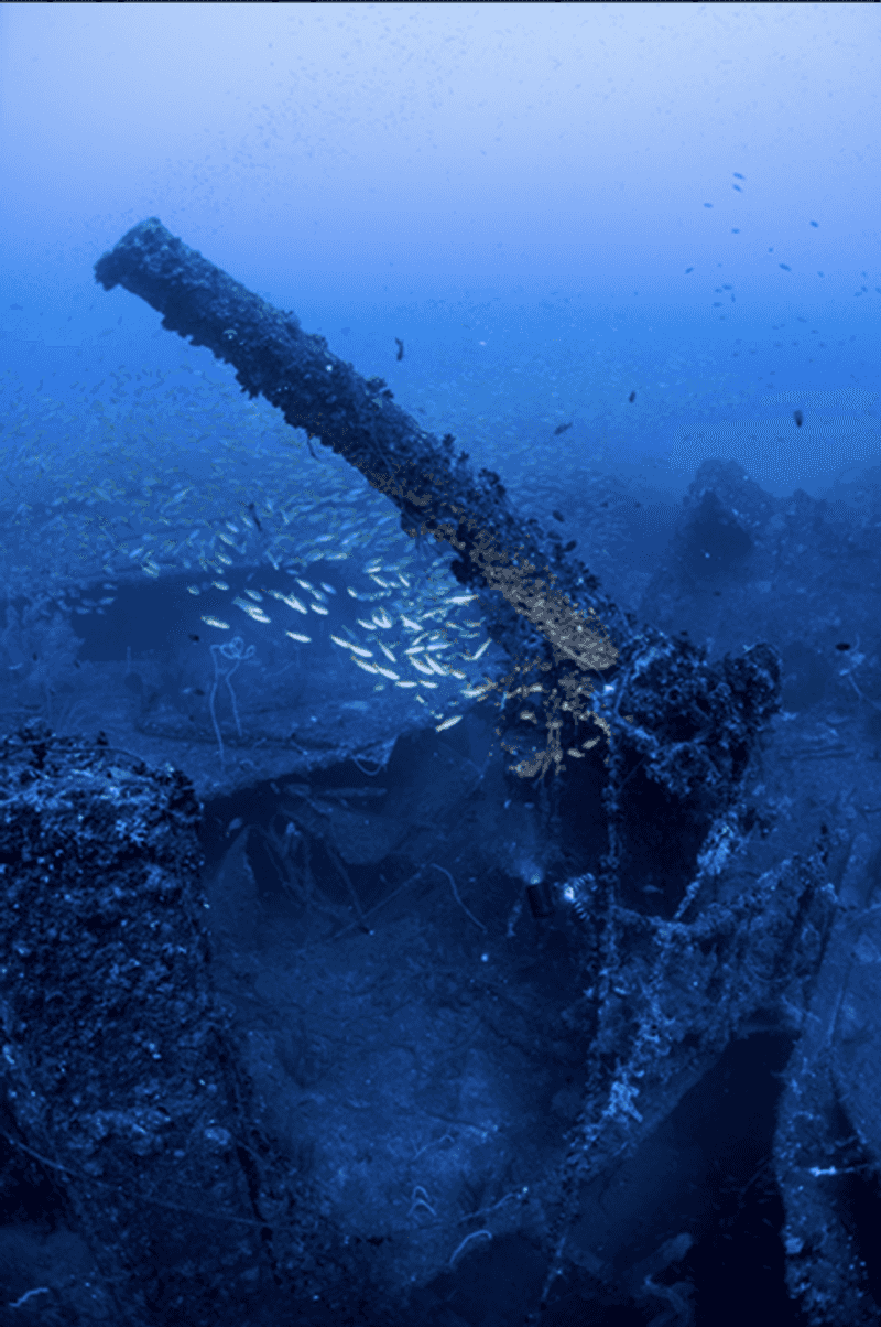 HMS Hermes, Sri Lanka