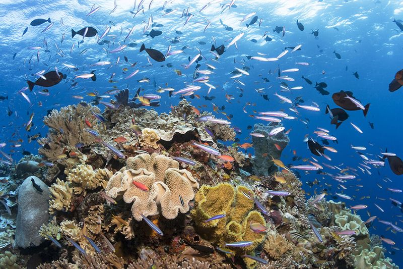 Sulawesi, Indonesia
