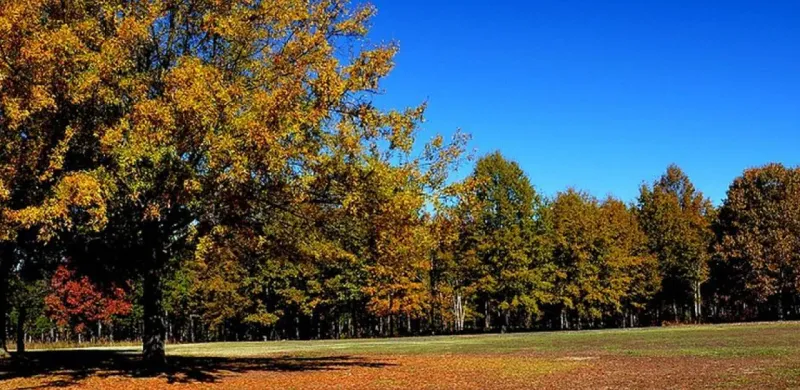 Cowpens National Battlefield