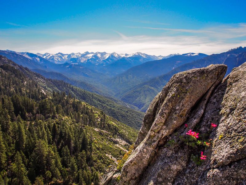 Sequoia National Park, California