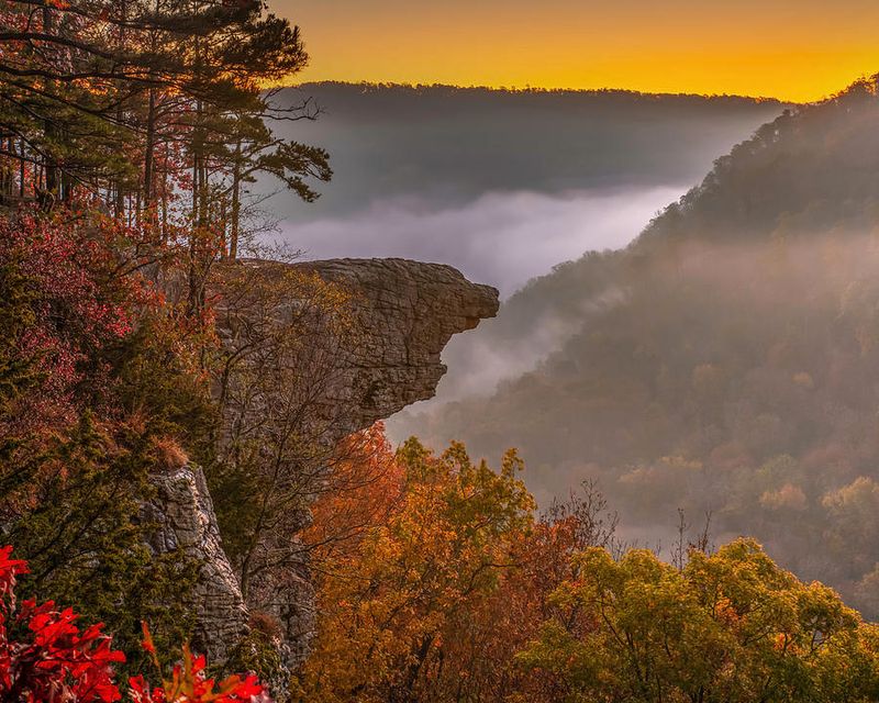 Arkansas: Whitaker Point (Hawksbill Crag)