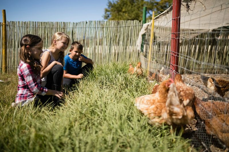Local Farm Visit