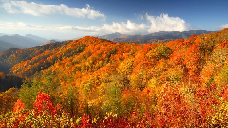 Great Smoky Mountains, Tennessee/North Carolina 🍂