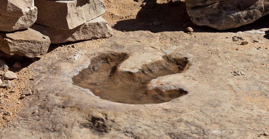 Brookings' Dinosaur Tracks Discovery
