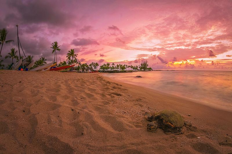 Hawaii: Solo Paradise in Your Own Backyard